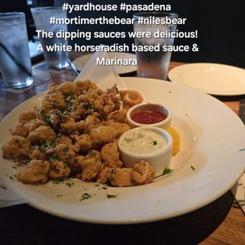 Yard House - The Calamari! #theYardHouse #paseocolorado #pasadena #sportsbar #mortimerthebear #nilesbear - Bars Near Me - Pasadena, California