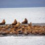 Photo of Weather Permitting Alaska