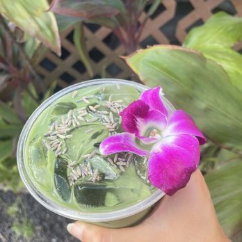 Fresh Bite Farm to Beach  - Matcha- so yummy!!! - Breakfast & Brunch Near Me - Hanalei, Hawaii