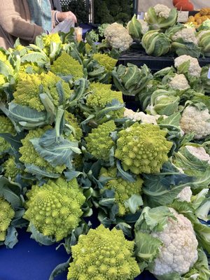 Campbell Farmer's Market by null
