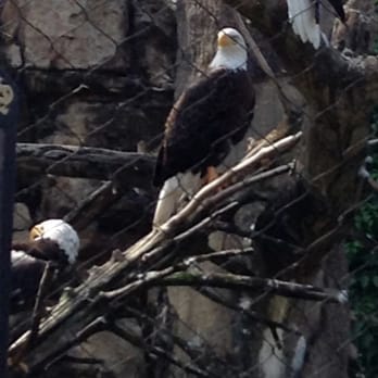 Memphis Zoo - The Memphis zoo - Zoos Near Me - Memphis, Tennessee Memphis Zoo - The Memphis zoo - Zoos Near Me - Memphis, Tennessee
