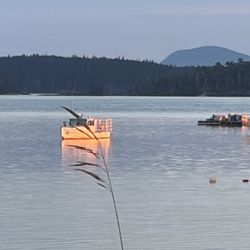 Acadia Seashore Camping & Cabins - View from the campground. Cadillac Mountain across the bay.