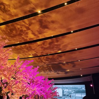 Paperfish Sushi - one view of inside seating. Part of the nice ambiance - Sushi Bars Near Me - Miami, Florida Paperfish Sushi - one view of inside seating. Part of the nice ambiance - Sushi Bars Near Me - Miami, Florida