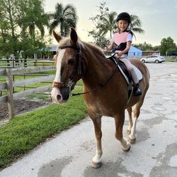 Spitfire Farm - Pony lessons