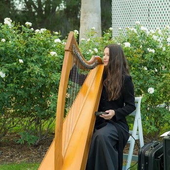 Harpist Hollienea - Performing Arts Near Me Harpist Hollienea - Performing Arts Near Me