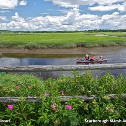 Scarborough Marsh Nature Center - Photo: Ken DiBiccari