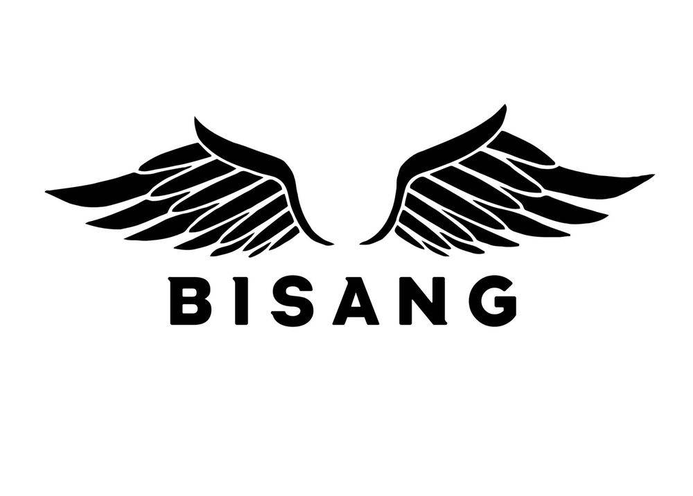 Bisang Taekwond Logo