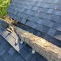 Photo of Shady Tree Service