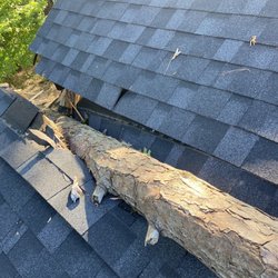 Shady Tree Service
