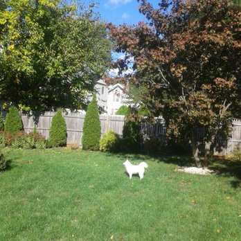 Paramus Puppy Spa - Browsing for rabbits. - Pet Groomers Near Me - Paramus, New Jersey Paramus Puppy Spa - Browsing for rabbits. - Pet Groomers Near Me - Paramus, New Jersey