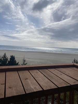 Starfish Point by null