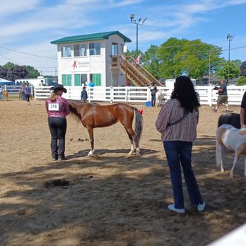 Monroe County Fair Association - More little horsies - Venues & Event Spaces Near Me - Monroe, Michigan