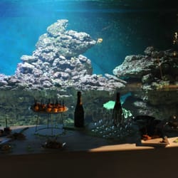 Aquarium de Vendée - Vous voulez organiser un évènement dans un cadre unique et original ? Le 7ème continent vous donne la possibilité