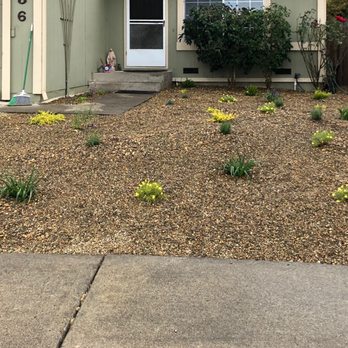 Northview Landscaping - Landscaping Near Me Northview Landscaping - Landscaping Near Me