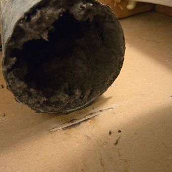 Lady Bird - Dryer vent filthy - Air Duct Cleaning Near Me