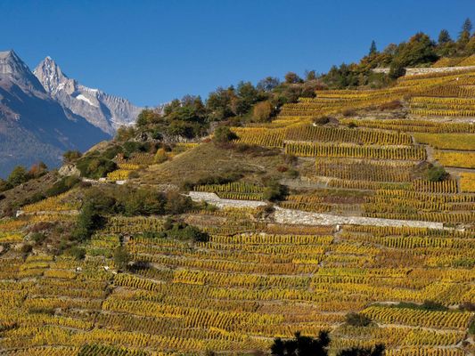 St. Jodern winery by null