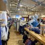 Photo of Athleta