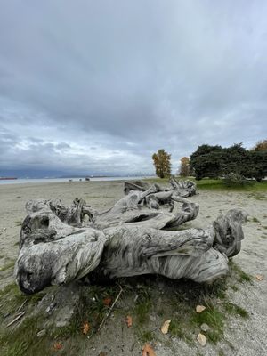Spanish Banks Beach by null