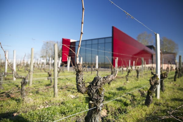 La Terrasse Rouge by null