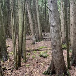 Eugenia Falls Conservation Area