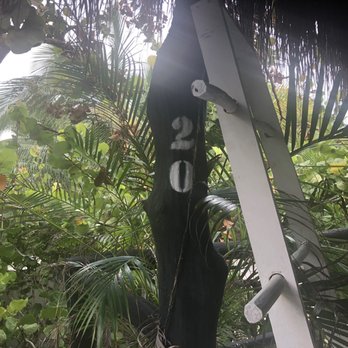 Coco Tulum Hotel - Partial ocean view, more like garden view - Hotels Near Me - Tulum, ROO Coco Tulum Hotel - Partial ocean view, more like garden view - Hotels Near Me - Tulum, ROO