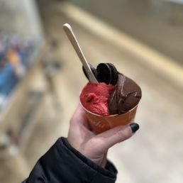 a person holding a cup of ice cream