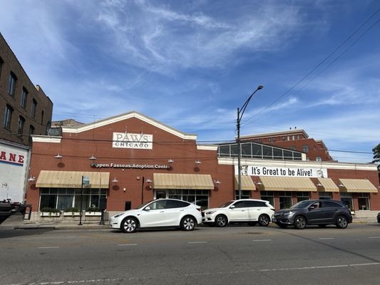 PAWS Chicago by null