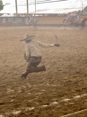 Campo Charro Jalisco by null
