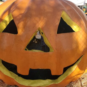 Lopez Ranch Pumpkin Patch & Christmas Trees - Pumpkin Patches Near Me - Marina del Rey, California Lopez Ranch Pumpkin Patch & Christmas Trees - Pumpkin Patches Near Me - Marina del Rey, California