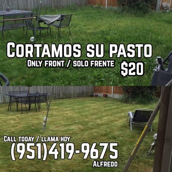 Alfred Grass Cutting - Alfred did a fantastic job. - Landscaping Near Me Alfred Grass Cutting - Alfred did a fantastic job. - Landscaping Near Me