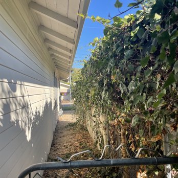 Frank's Yard Clean-Up - Before: Side of house with ivy taking over - Landscaping Near Me Frank's Yard Clean-Up - Before: Side of house with ivy taking over - Landscaping Near Me