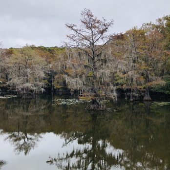 Caddo Lake State Park - Parks Near Me - Karnack, Texas