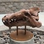 Photo of Thomas Condon Paleontology Museum