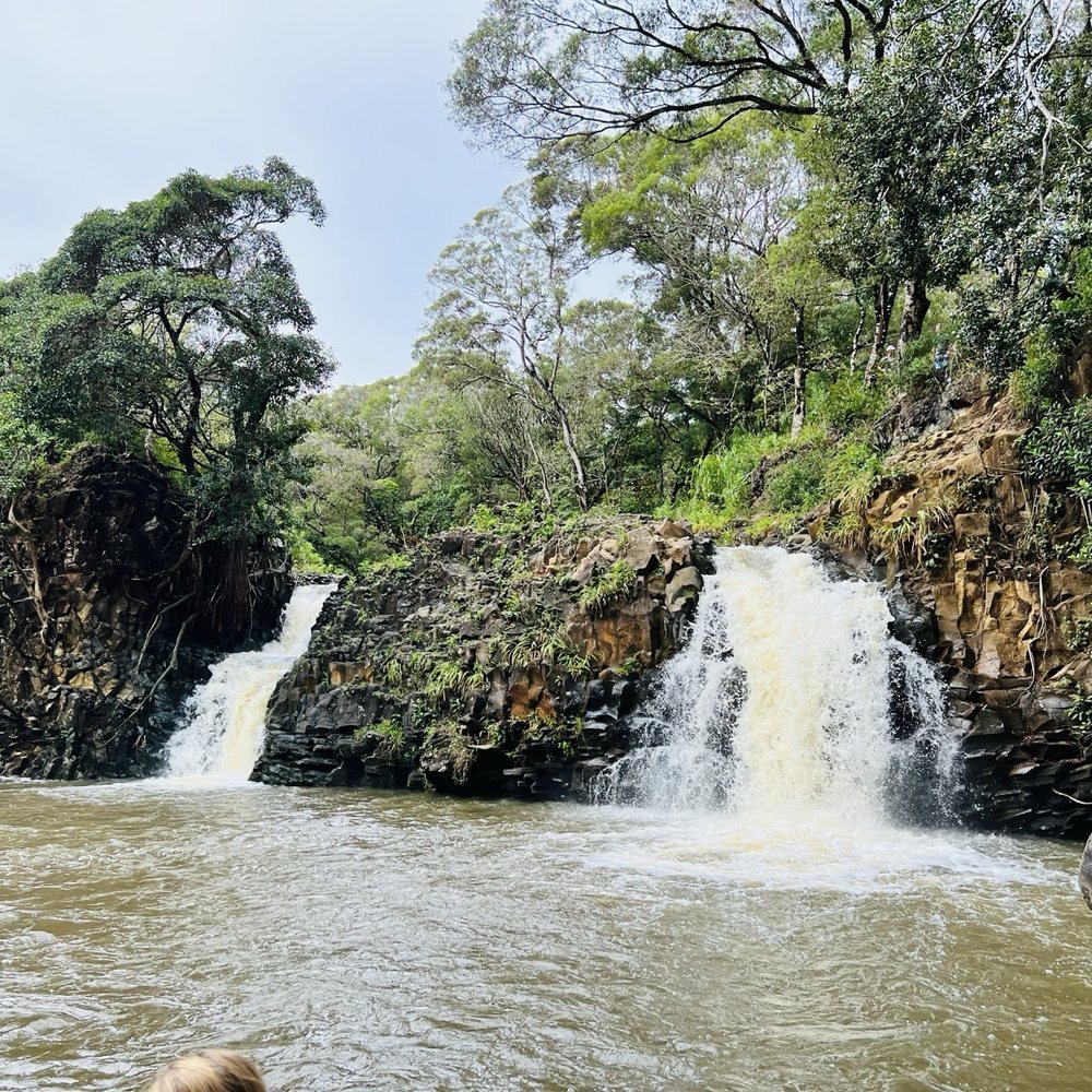 Twin Falls Trail - Let's gooooo! - Hiking Near Me - Haiku, Hawaii Twin Falls Trail - Let's gooooo! - Hiking Near Me - Haiku, Hawaii