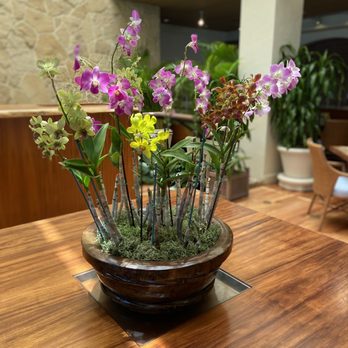 Orchids - Breakfast & Brunch Near Me - Honolulu, Hawaii Orchids - Breakfast & Brunch Near Me - Honolulu, Hawaii