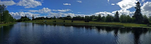 Bethany Vineyard & Winery by null