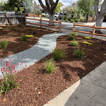 Pacific Premier Landscape Inc. - Landscaping Near Me - Castro Valley, California