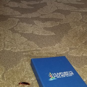 Humphreys Half Moon Inn - room was disgusting, not cleaned properly, no wonder cockroaches were everywhere - San Diego, CA