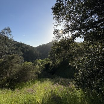 Moore Creek Park - Parks Near Me - Saint Helena, California Moore Creek Park - Parks Near Me - Saint Helena, California