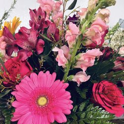 Behrz Bloomz