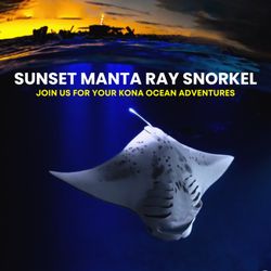 Sunlight On Water - Sunset manta snorkeling