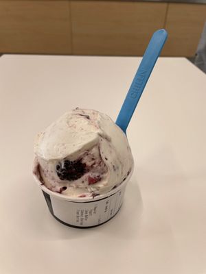 Chill-N Ice Cream Fort Worth by null