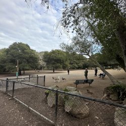 Pinole Dog Park - Large dogs area