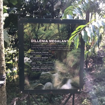Baguio Botanical Gardens - Botanical Gardens Near Me - Baguio, BEN