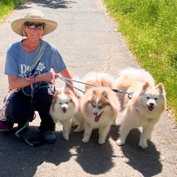 Nohr's Rv Center - Willow 3 years old Milo 1 years old Shiloh 4 years old