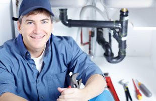 Royal Flush Plumbing Logo