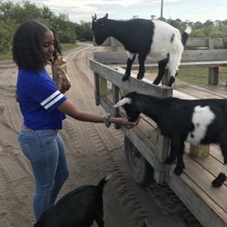 Romelia Farms Wildlife Preserve