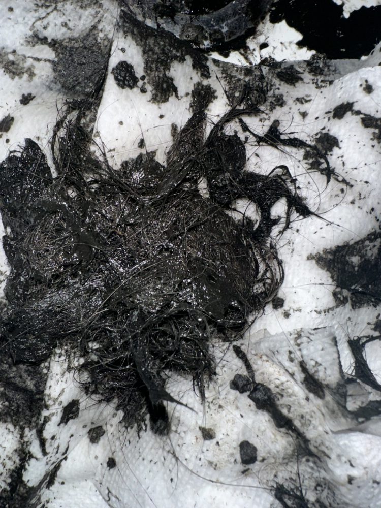 Slide of Ndoye Management