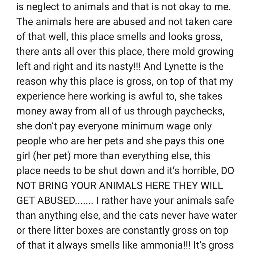Clip N Clean - Pet Sitting Near Me - Tacoma, Washington