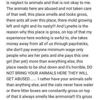 Clip N Clean - Pet Sitting Near Me - Tacoma, Washington